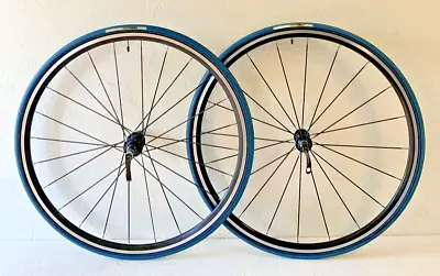 Alexrims A-class Wheelset 700c Shimano Compatible 10 Speed 20-24 Bladed Spokes • $175