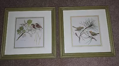 Two Mads Stage Watercolor Bird Paintings 11 1/2  X 11 1/2   Framed Signed • $79.99