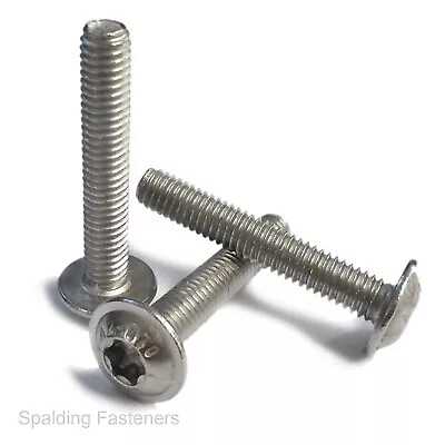 £2.20 • Buy A2 Stainless Steel Large Head Flange Torx Button Screws M3,M4,M5,M6
