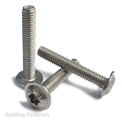 A2 Stainless Steel Large Head Flange Torx Button Screws M3M4M5M6 • £4.68