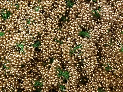 72 Pcs VTG Double Ended Gold Berries Stamen Peps Christmas Crafts Hats Millinery • $9.99