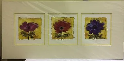 £19 • Buy Nel Whatmore - Anemone Trio - Mounted ( In Stock)