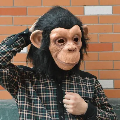 Costume Gorilla Monkey Animal Head Full Latex Mask Adult Halloween Cosplay Prop • $17.59