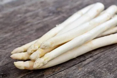 100 Exotic White Asparagus Seeds For Planting Rare Garden Vegetable • $9.99