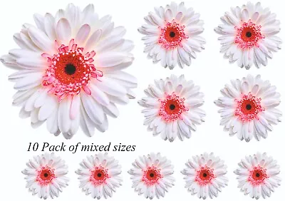 £2.99 • Buy Gerbera Daisy Flower Decals Stickers Graphics Nursery Wall Window Decoration Art