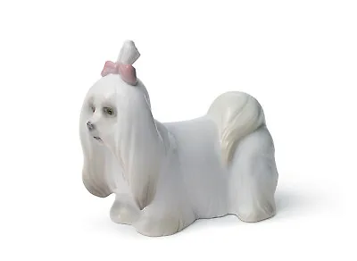 Lladro Maltese Dog Figurine #8368 Brand New In Box Bow Cute Puppy Save$$ F/sh • $199.98