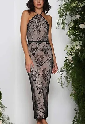 Elle Zeitoune Nicole Midi Black Lace Dress Size 8 BNWOT • $30