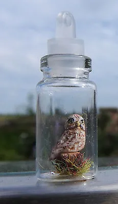 $23.20 • Buy Hand Made Tiny Miniature Little Owl In A Glass Jar Bottle Necklace Pendant
