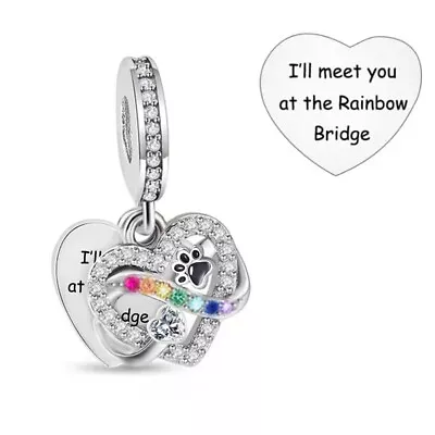 $31.99 • Buy S925 Silver  Cat Dog Meet You At Rainbow Bridge Memorial Charm -YOUnique Designs