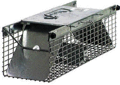 $29.95 • Buy HAVAHART #1025 Squirrel LIVE TRAP - NIB