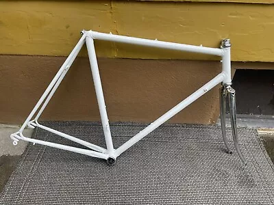 $329 • Buy Vintage OLMO 55cm Ultralight Frameset, Fresh Powder Coat, OLMO Forks. Campagnolo