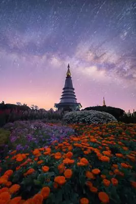 The Milky Way And Garden With Buddha Relics Photo Art Print Poster 24x36 Inch • $13.98