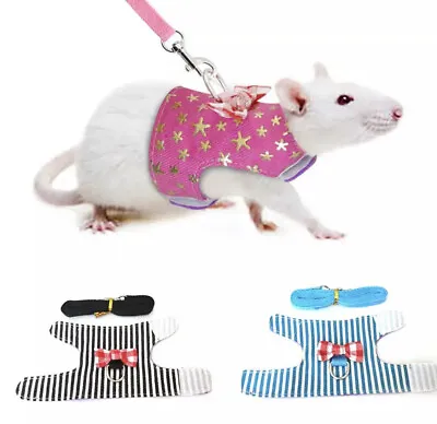 Extra Small Tiny Pet Pup Mouse Rat Guinea Pig Bunny Harness Lead Black Pink Blue • £6.99