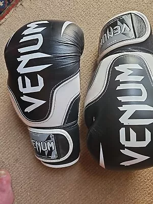 VENUM  Hook And Loop Training Boxing Gloves 16 Oz. • $47.50