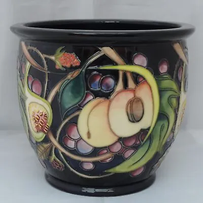 Moorcroft Queen's Choice Jardiniere • £280