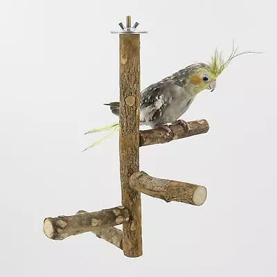 Bird Stand Bird Training Pet Parrot Playstand For Macaws • $16.97