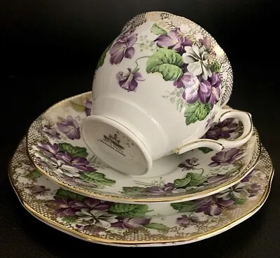 Salisbury Devonshire Violets Tea Cup Saucer Plate Trio Made In England VGC • $39