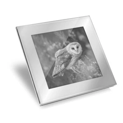 £5.99 • Buy Silver Glass Coaster - BW - Pretty Barn Owl In The Forest  #36730