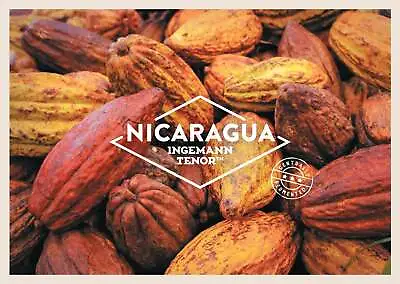 Nicaragua Ingemann Tenor Cacao Cocoa Beans • £15