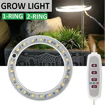 Grow Light LED Plant Halo Light USB Ring Angel Phytolamp Spectrum Dimmable Light • $17.99