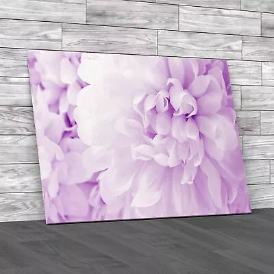 Soft Petals Floral Photography Minimalist Purple Canvas Print Large Picture • £18.95