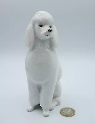 Vintage LOMONOSOV Porcelain Figurine White King Poodle Sitting Made In USSR • £15