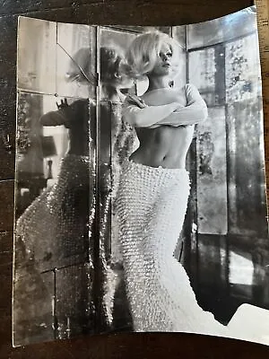 1960s Original Photo Tynia Briel German Model Wearing La Mendola Couture Fashion • $23.72