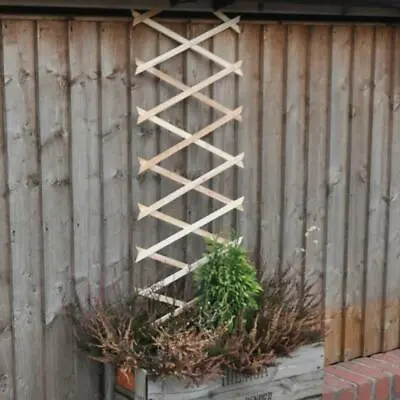 Kingfisher 6ft X 1ft Garden Trellis For Climbing Plants & Walls • £5.25