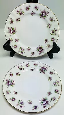 Royal Albert Sweet Violets 6.25” Bread Plates Lot Of 2 Gold Ruffle Edge 1966 • $23.75