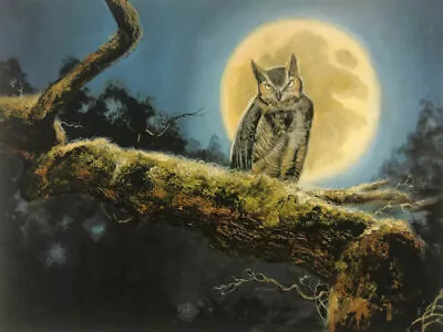 R. J. McDonald Night Watch Owl Full Moon S/N Art Print 21.5 X 16 • $105