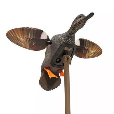 MOJO® Elite Series™ - Gadwall • $99.99