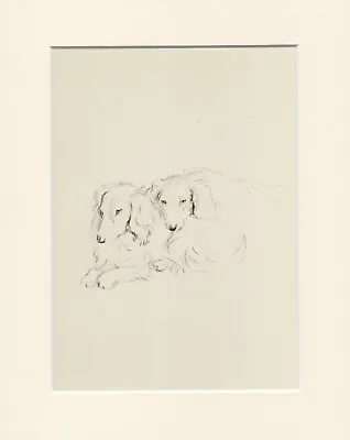 Dachshund Long Haired Lovely Original Vintage 1946 Dog Art Print By Lucy Dawson  • $6.20