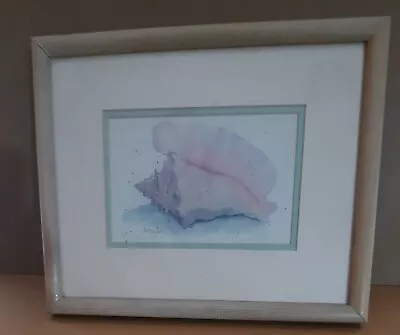 Art Print Matted Framed Sea Shell D. Morgan Signed • $22