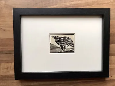 £17 • Buy ‘Golden Eagle’- Framed Woodcut Bird By Raphael Nelson, Dated 1940s