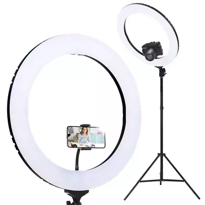 19  LED Ring Light 6500K 5800LM Dimmable Diva With Stand Make Up Studio Video • $107.72