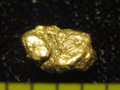 .31 GRAM California Gold Nugget-Sierra Nevada Gold Specimen Jem. Purity 90% + • $27