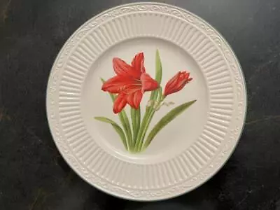 Mikasa Italian Countryside Salad Plate Amaryllis Center New • $29.99