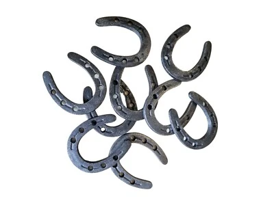 $23.99 • Buy 20 Pc Zinc Horseshoes 2  X 1 3/4  Decoration Craft Weddings Gifts Parties Equine