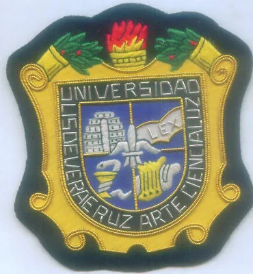 University Mexico State Veracruz University School College Blazer EDU ED  Patch • $19.99