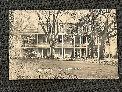 THE ELMS NATCHEZ MISSISSIPPI MS Vintage Postcard ADAMS COUNTY • $9.99