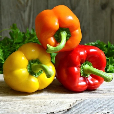 £2.49 • Buy 🫑 Xl Sweet Bell Pepper Seeds (20 Seeds) 🪴 Limited Stock!