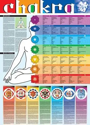 Joga Yoga - Chakra Poster On Picture Printing Paper 68x98 Cm Edition 2019 • £15.06