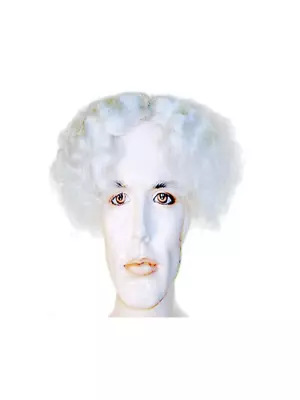 Lacey Wigs - MAD SCIENTIST WIG WHITE • $39.67