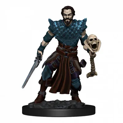 $18.95 • Buy Dungeons & Dragons Premium Male Human Warlock Pre-Painted Figure
