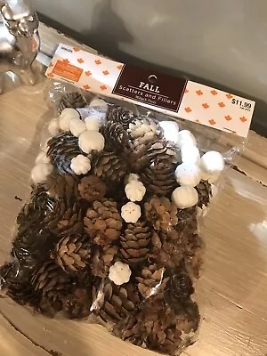 Mini Pinecones & White Pumpkins Fall Harvest Holiday Vase/Bowl Filler Scatter • $9