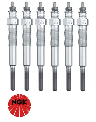 6 X Ngk Glow Plugs For Toyota Landcruiser Hj60r 2h Diesel 4.0l I6 Till 10/1982 • $190