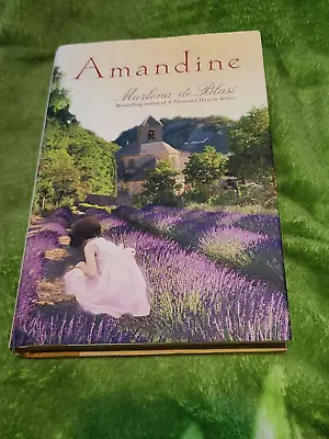 Amandine By Marlena De Blasi (2010 Hardcover) 1st EDITION) • $9