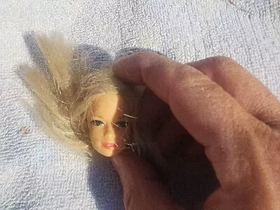 Barbie STACEY --vintage Head Only • $40