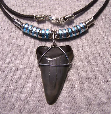 Shark Tooth Necklace 1 1/2  Mako Sharks Teeth Jaw Fossil Megalodon Dive Polished • $15