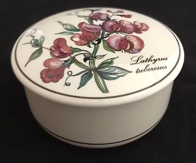 VILLEROY & BOCH BOTANICA Lathyrus Tuberosus PORCELAIN TRINKET Covered BOX • $8